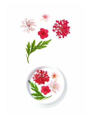 Red Dried Flowers