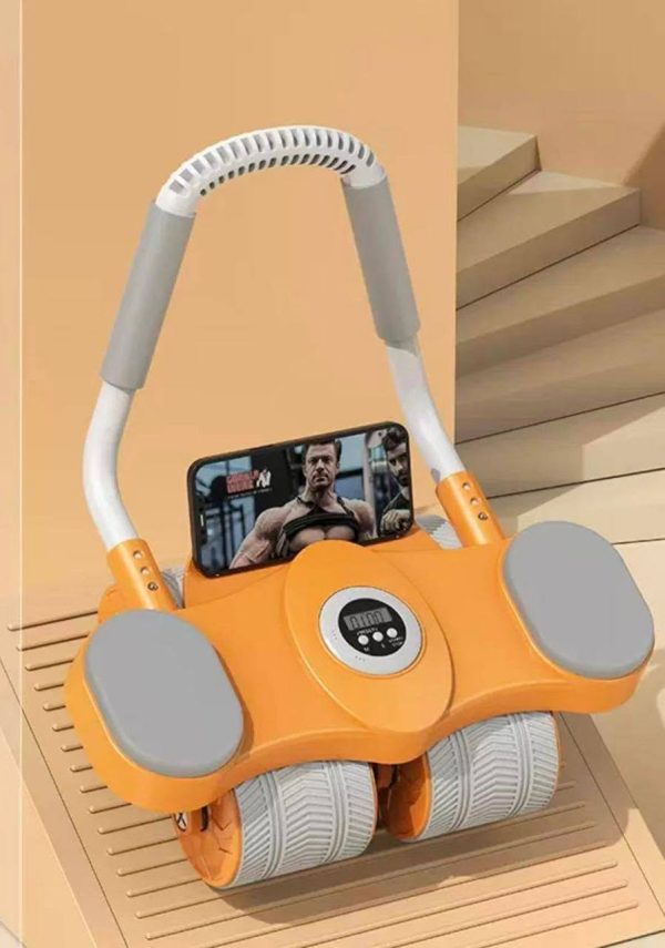 6 Wheel Ab Roller